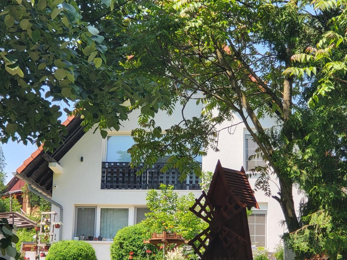 Vila Jovana Vrdnik Exterior foto