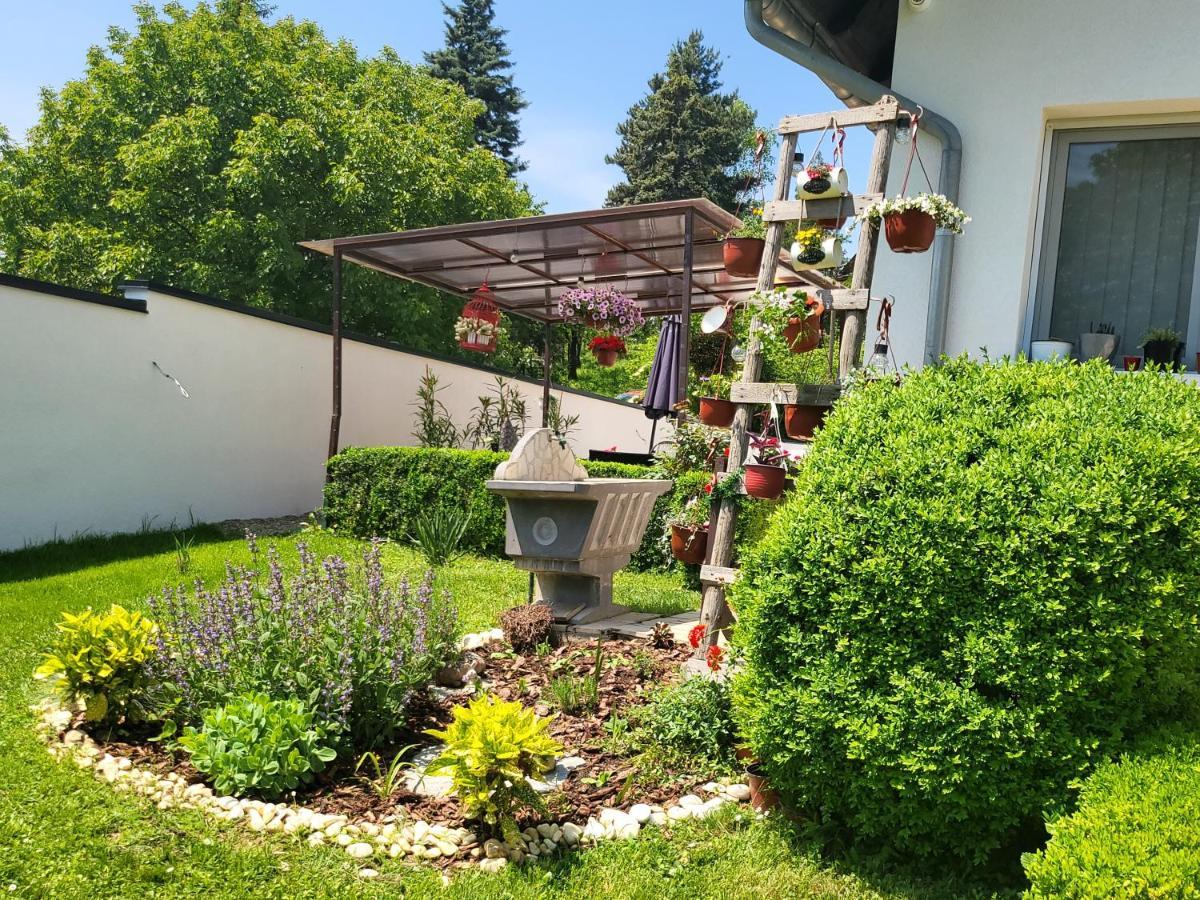 Vila Jovana Vrdnik Exterior foto