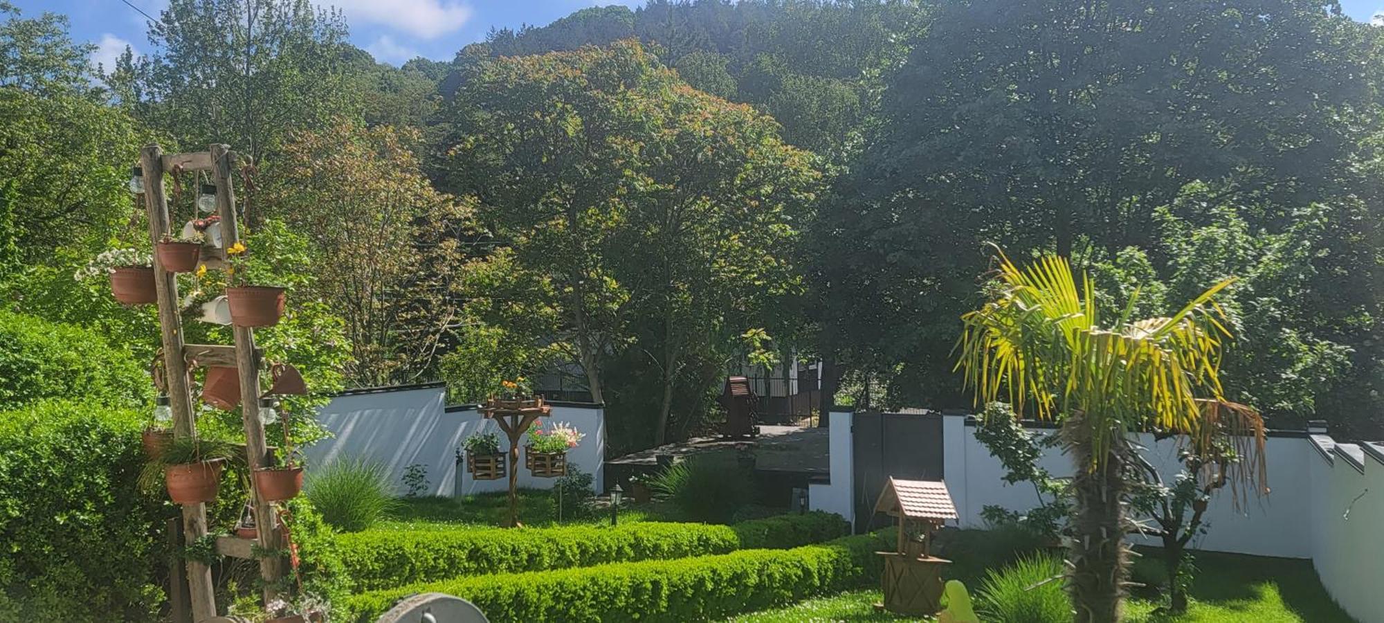 Vila Jovana Vrdnik Exterior foto