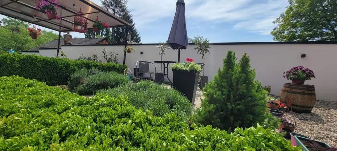 Vila Jovana Vrdnik Exterior foto